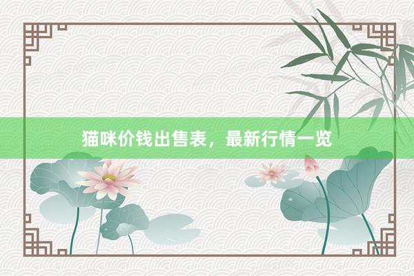 猫咪价钱出售表，最新行情一览