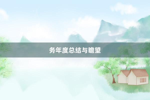 务年度总结与瞻望